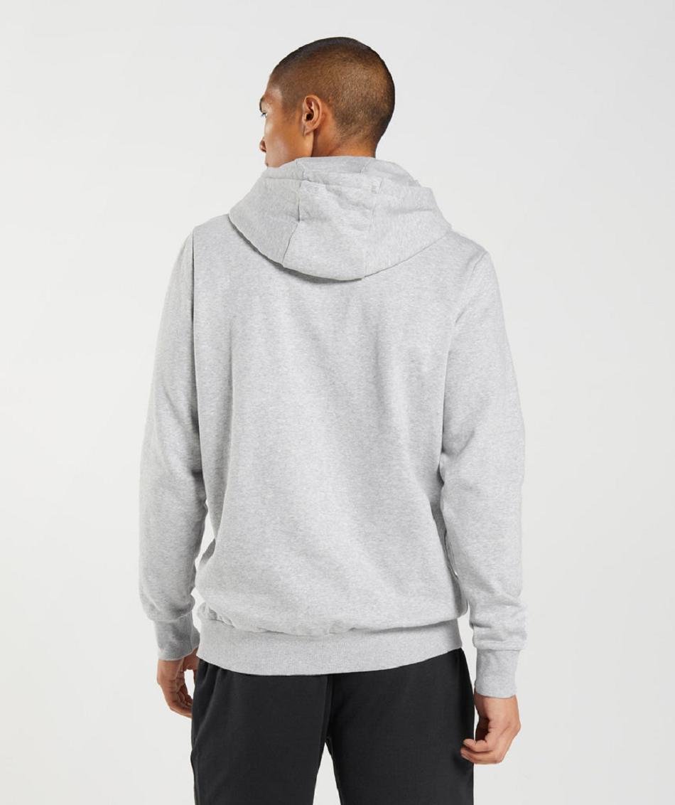 Sudadera Con Capucha Gymshark Block Hombre Gris Claro | CO 3624VRW